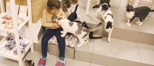 Бизнес-идеи 2023 для женщин. Топ 20 лучших бизнес-идей для девушек в 2023 году