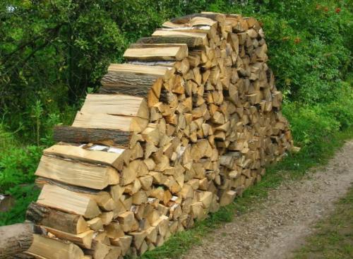 Что дешевле газ или дрова. Что выгоднее: газ или дрова, или что-то другое?