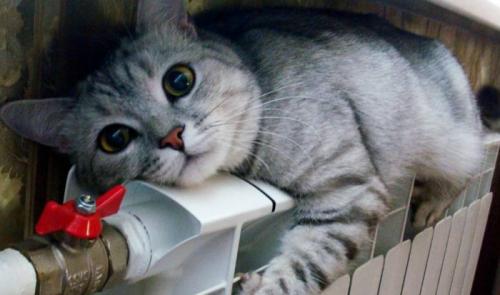 Что лучше индивидуальное отопление или центральное. Центральное и автономное отопление. Что лучше?