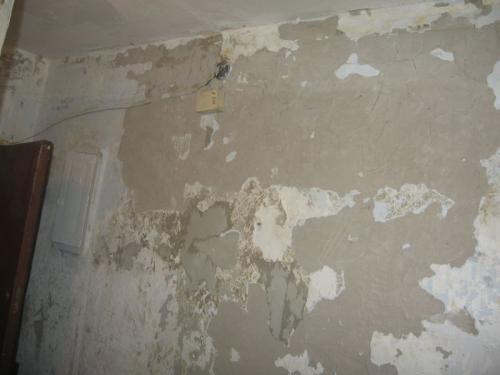 Обои отдираются со штукатуркой. Что делать, если отошла штукатурка под обоями