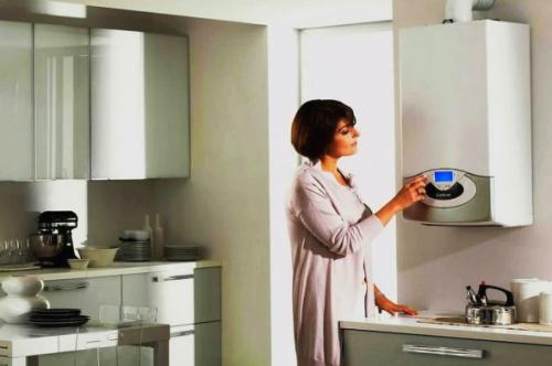 Чем дешевле отапливать дом газом или углем. Что выгоднее: газ или дрова, или что-то другое?