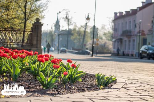 Когда отключат отопление 2022 беларусь. Солнце греет, на улице теплеет: когда в Беларуси отключат отопление?
